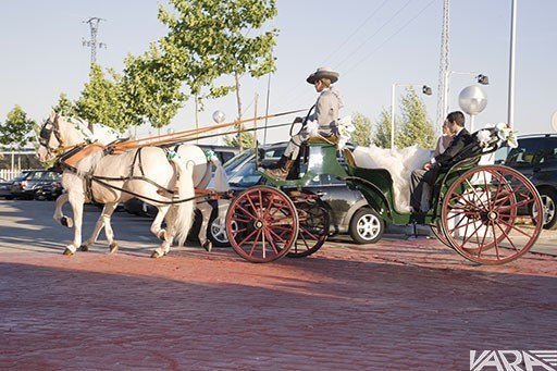 andalucia vara_0427